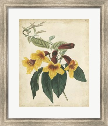 Framed Tropical Floral VI Print