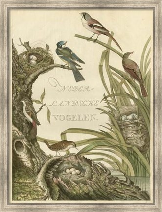 Framed Sanctuary for Birds Print