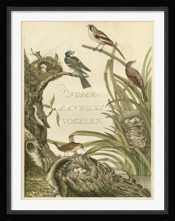 Framed Sanctuary for Birds Print