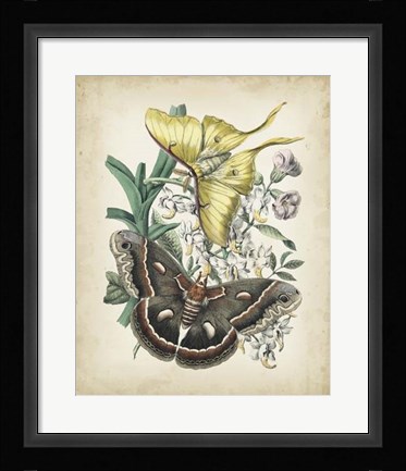 Framed Fanciful Flight I Print