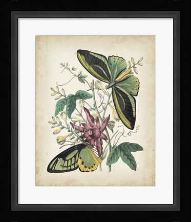 Framed Fanciful Flight II Print