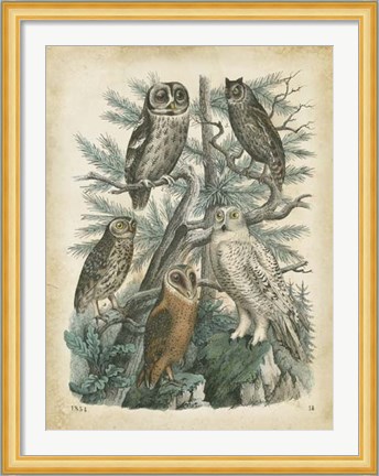 Framed Nature&#39;s Gathering III Print
