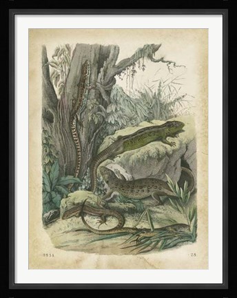 Framed Nature's Gathering V Print