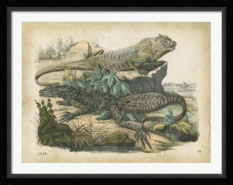 Framed Nature's Gathering VI Print