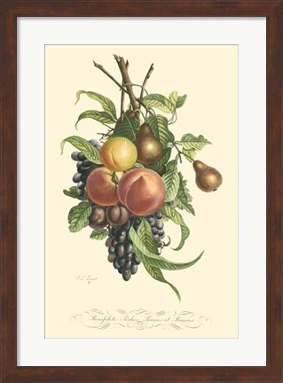 Framed Plentiful Fruits I Print