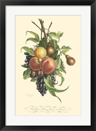 Framed Plentiful Fruits I Print