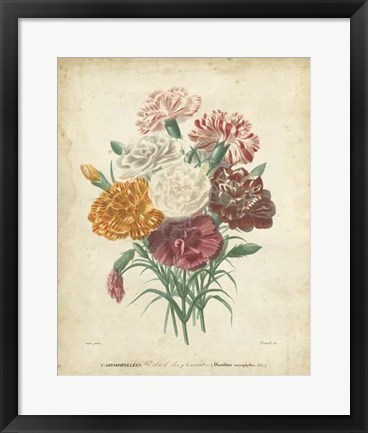 Framed Victorian Bouquet II Print