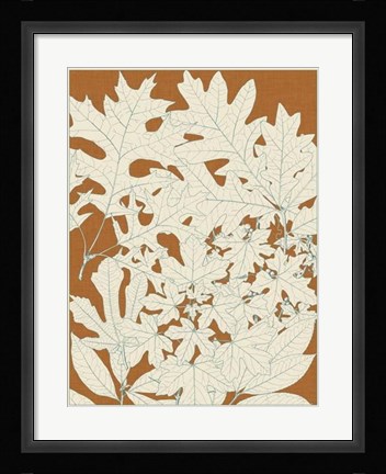 Framed Leaves from Nature II Print