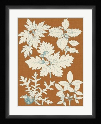 Framed Leaves from Nature IV Print
