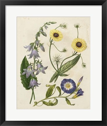 Framed Garden Pairings V Print