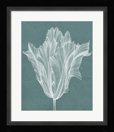 Framed Monochrome Tulip V Print