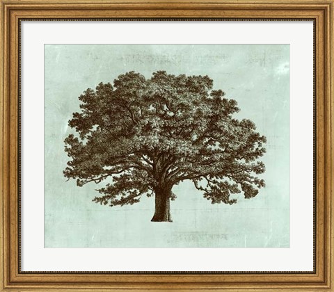 Framed Spa Tree I Print