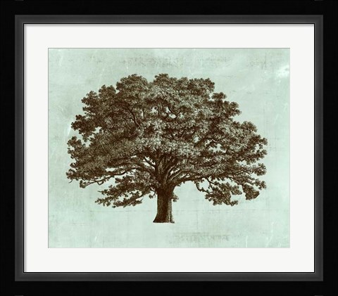 Framed Spa Tree I Print