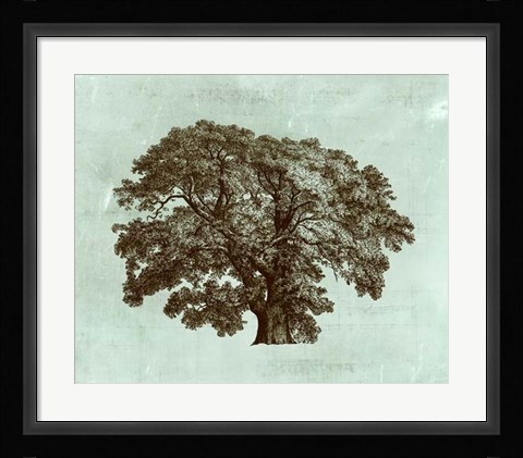 Framed Spa Tree II Print