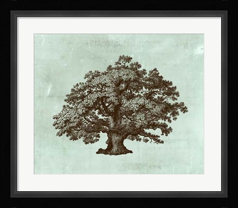 Framed Spa Tree III Print