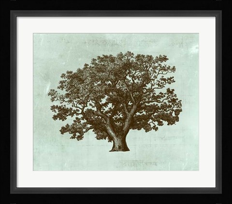 Framed Spa Tree IV Print