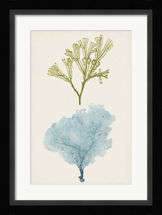 Framed Aqua &amp; Citron Coral II Print