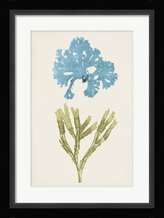 Framed Aqua &amp; Citron Coral III Print