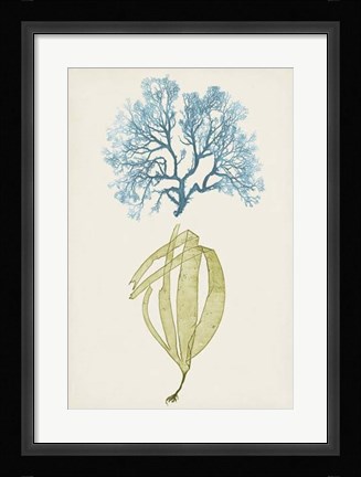 Framed Aqua &amp; Citron Coral IV Print