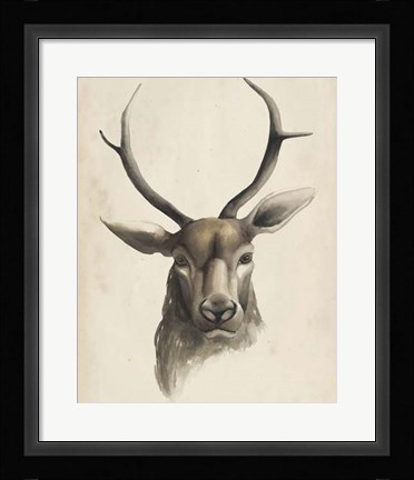 Framed Watercolor Animal Study I Print