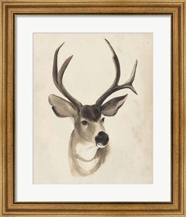 Framed Watercolor Animal Study II Print