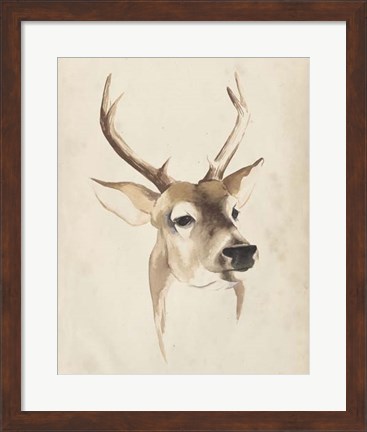 Framed Watercolor Animal Study IV Print