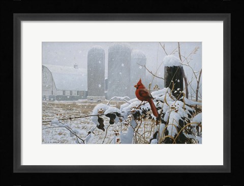 Framed Flaming Glory Print