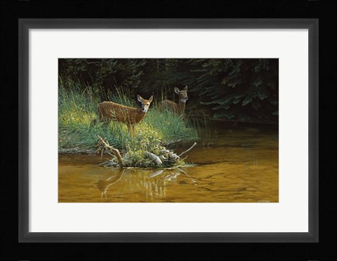 Framed Fawn Brook Print