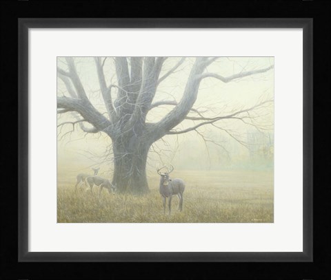 Framed Winter Mist Print