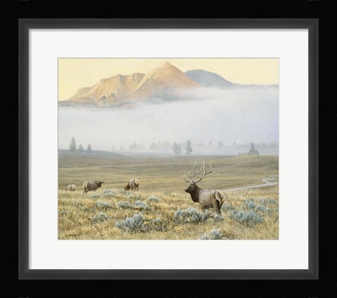 Framed Autumn Elk Print
