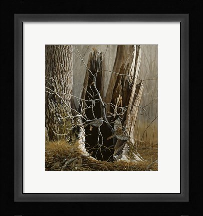 Framed White Throated Sparrows Print