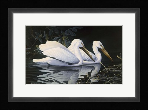 Framed Pelicans Print