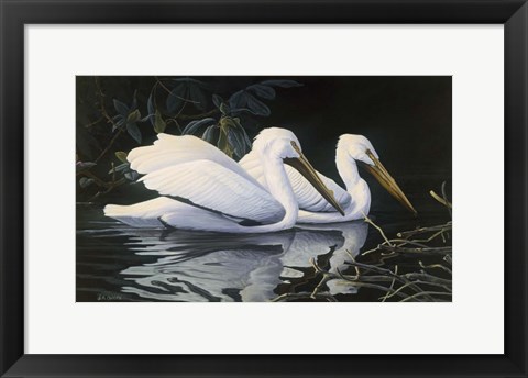 Framed Pelicans Print