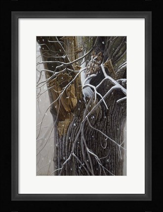 Framed Winter Branches Print