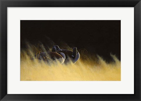 Framed Morning Solitude Print