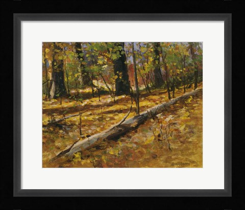 Framed Autumn Collage Print