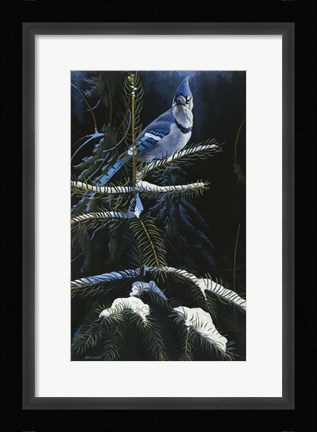 Framed Royal Dress Print