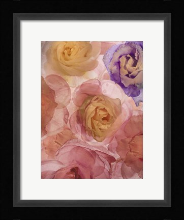 Framed Rosas Compo 2-2 Print