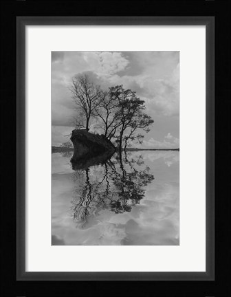 Framed Arboles en Agua 8 Print