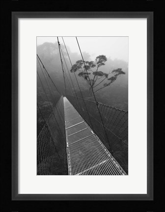 Framed Costa Rica 18 Print