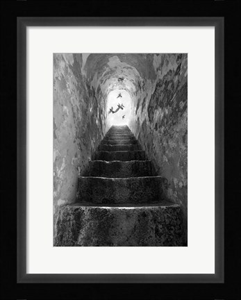 Framed Freedom Print