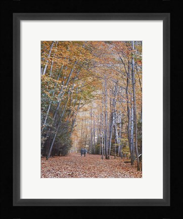 Framed Walking Print