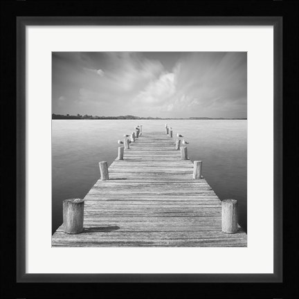 Framed Tierra Desnuda Print