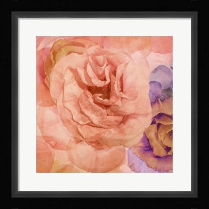 Framed Rosa Cuadrada Print