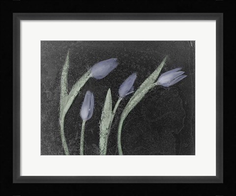 Framed Tulipanes Azules Print