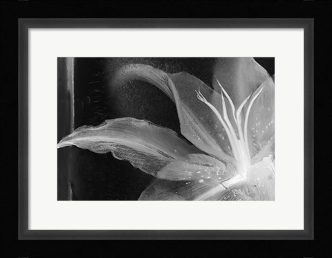 Framed Detalle Flor X Print