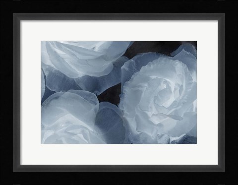 Framed Rosas Azules 2 Print