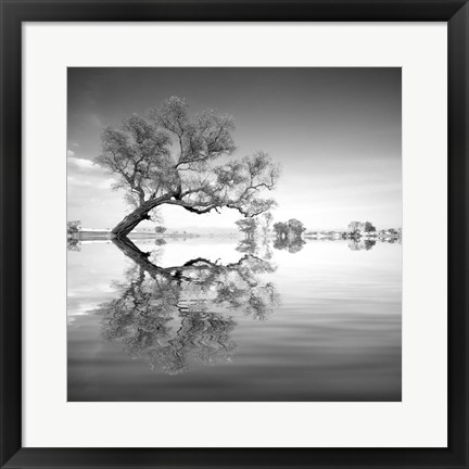 Framed Arbol en Agua 3 BN Print