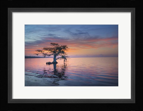 Framed Alone at Sunrise Print
