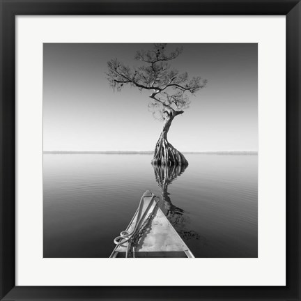 Framed Alone With My Tree Print